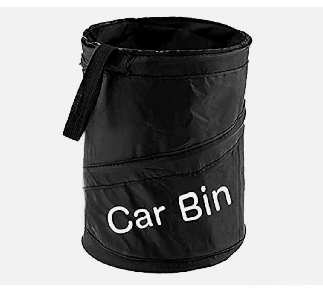 Car Bin